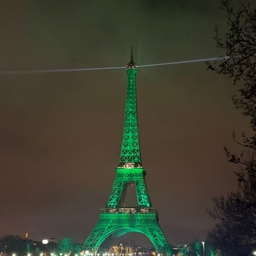 피드에 업로드 된 이미지