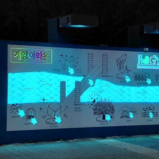 피드 이미지
