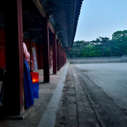 피드에 업로드 된 이미지