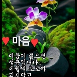 피드에 업로드 된 이미지
