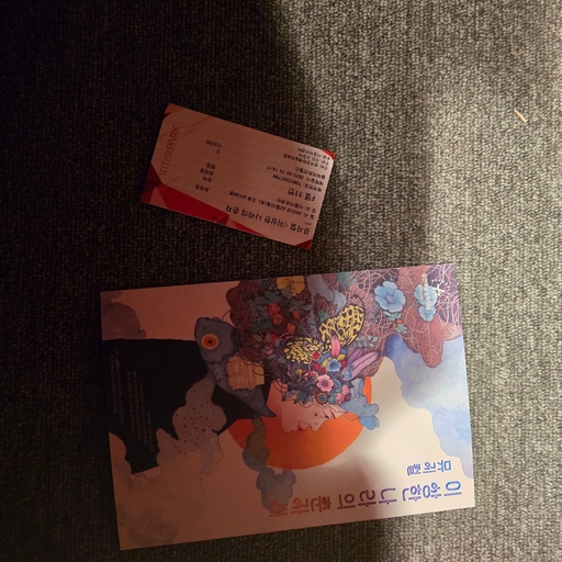 피드 이미지