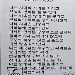 피드에 업로드 된 이미지