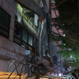 피드에 업로드 된 이미지