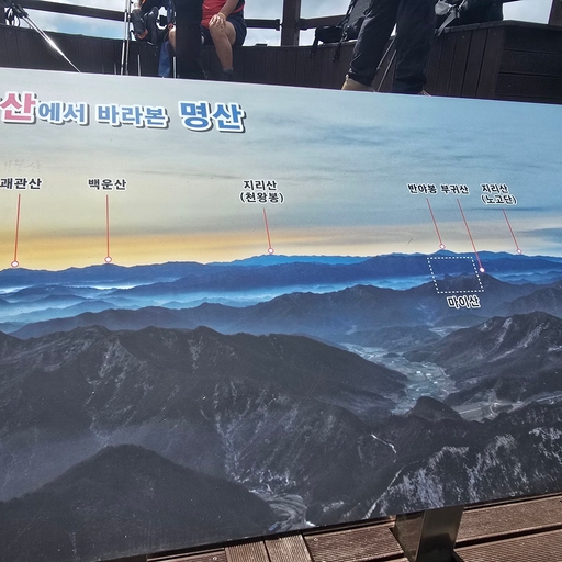 피드 이미지