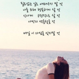 피드에 업로드 된 이미지