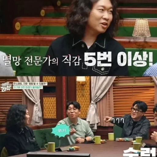 피드 이미지
