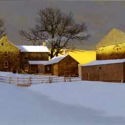 피드에 업로드 된 이미지