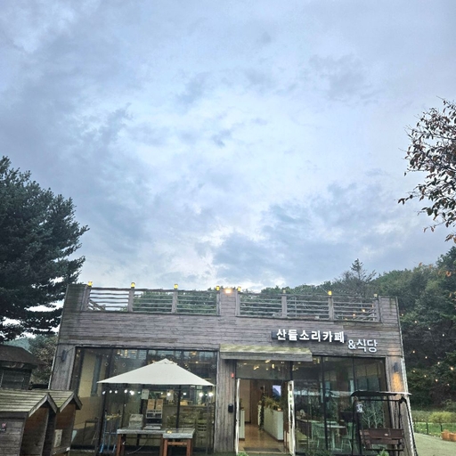 피드 이미지