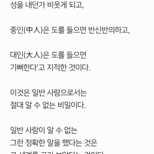 피드 이미지