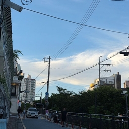 피드에 업로드 된 이미지
