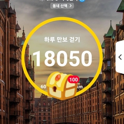 피드에 업로드 된 이미지