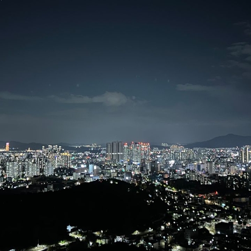 피드 이미지