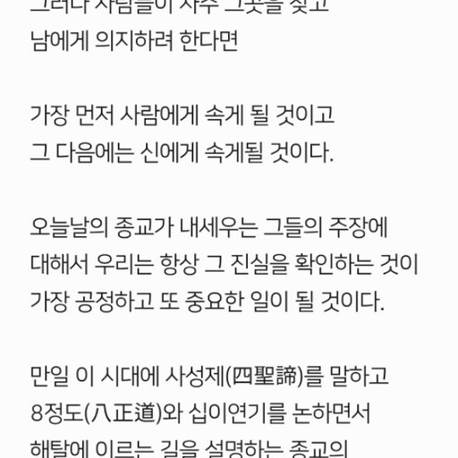 피드 이미지