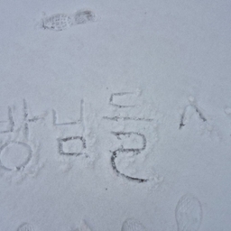 피드에 업로드 된 이미지