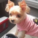 참가 유저 프로필