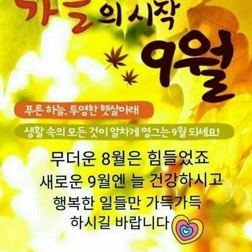 피드 이미지