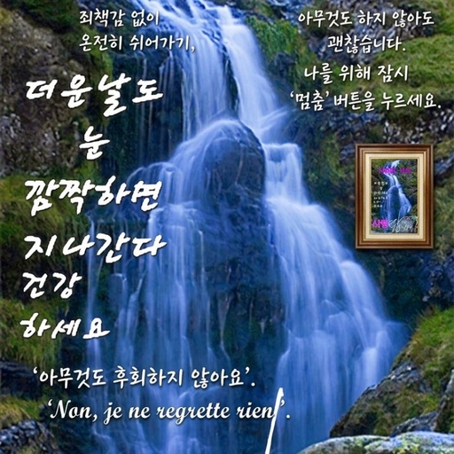 피드 이미지