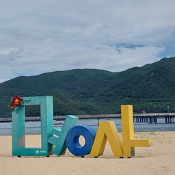 피드에 업로드 된 이미지
