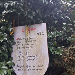 피드에 업로드 된 이미지