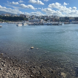 피드에 업로드 된 이미지