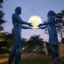 공지사항에 업로드 된 이미지