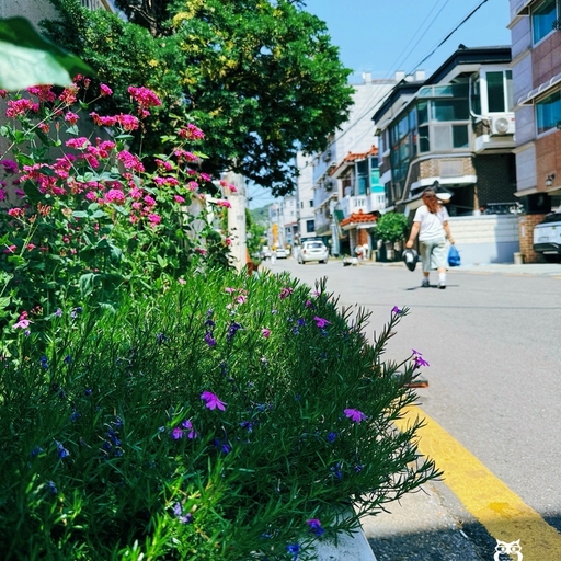 피드 이미지