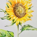 참가 유저 프로필