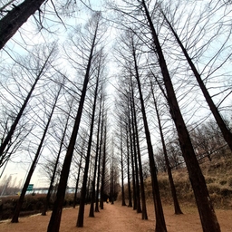 피드에 업로드 된 이미지