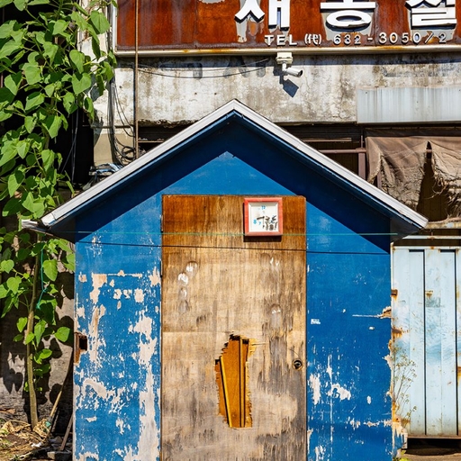 피드 이미지