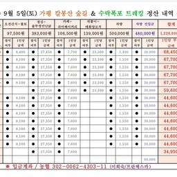 피드에 업로드 된 이미지