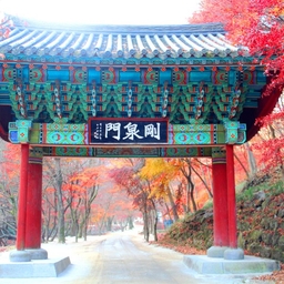 피드에 업로드 된 이미지