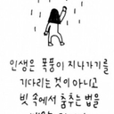 피드 작성자 프로필