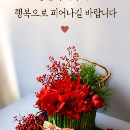 피드 이미지