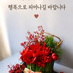 피드에 업로드 된 이미지