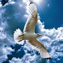 참가 유저 프로필