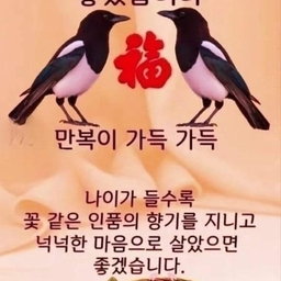 공지사항에 업로드 된 이미지