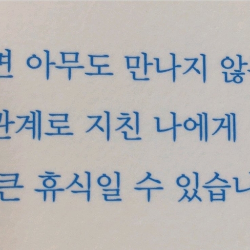 피드 이미지