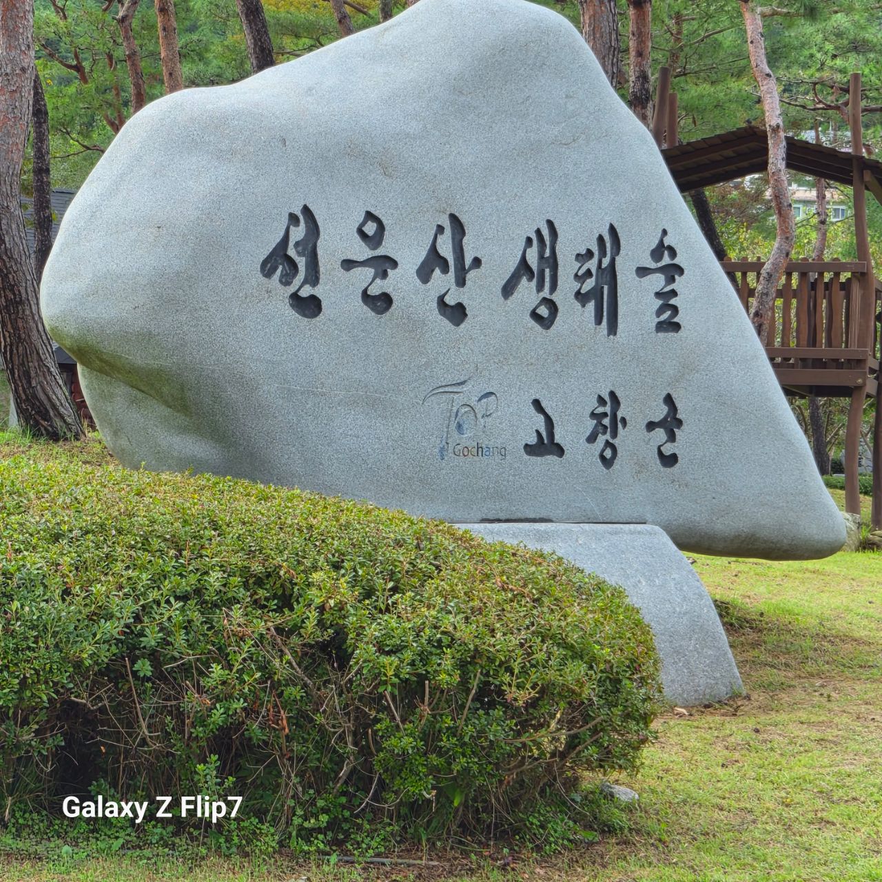 피드 이미지