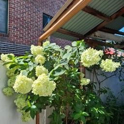 피드에 업로드 된 이미지