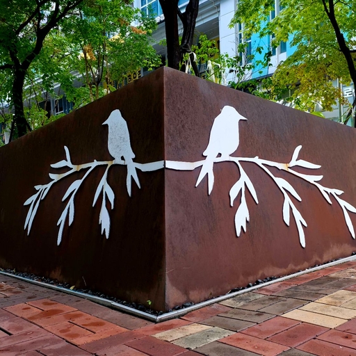 피드 이미지