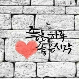 피드에 업로드 된 이미지