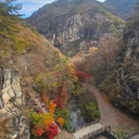 참가 유저 프로필