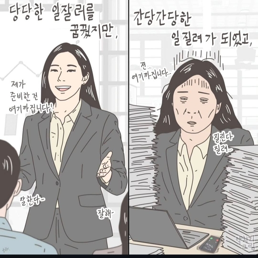 피드 이미지