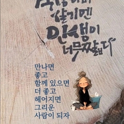 피드에 업로드 된 이미지