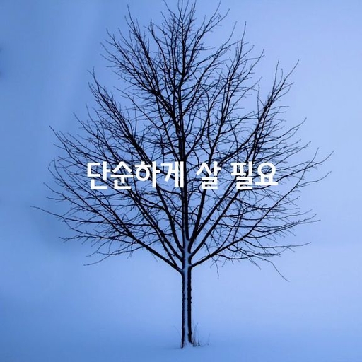 피드 이미지