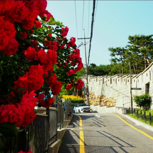 피드 이미지
