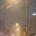 피드 작성자 프로필