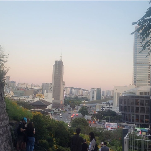 피드 이미지