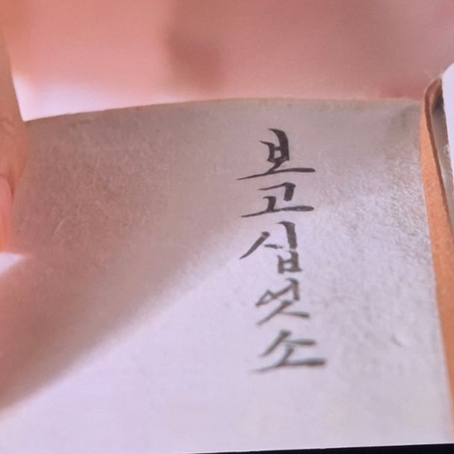 피드 이미지