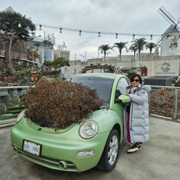 피드에 업로드 된 이미지